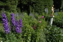 purpleflowers and statue.jpg